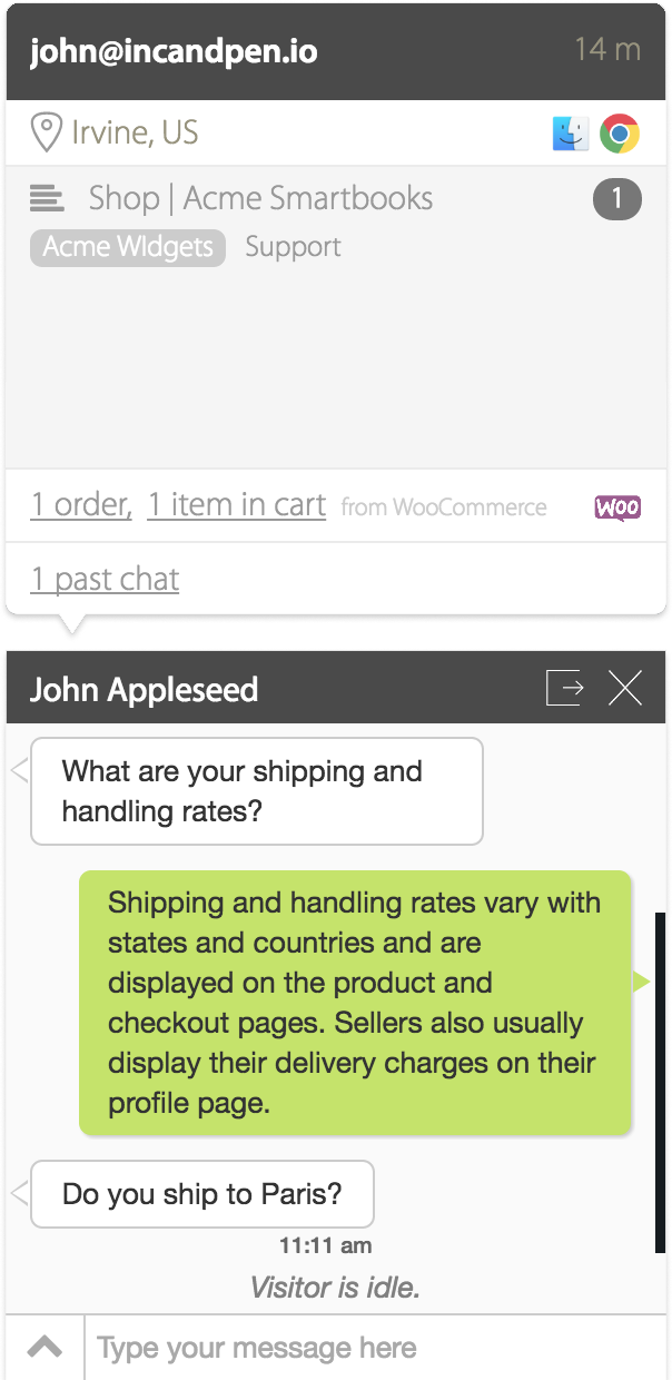 WooCommerce store information on your live chat