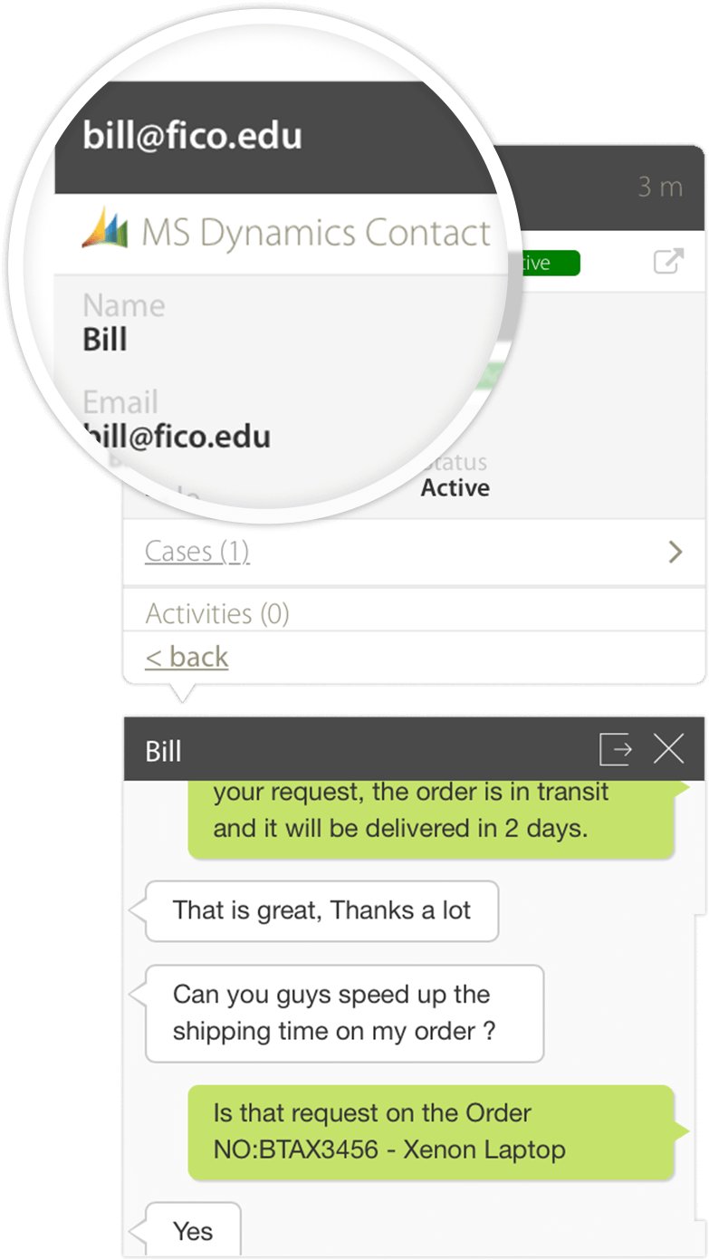 Live chat and microsoft dynamics crm integration